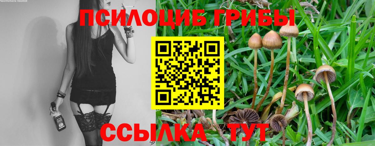 Псилоцибиновые грибы GOLDEN TEACHER  Вход с VPN  Кольчугино 